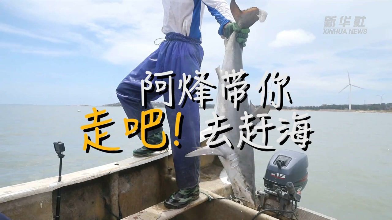 阿烽带你去赶海