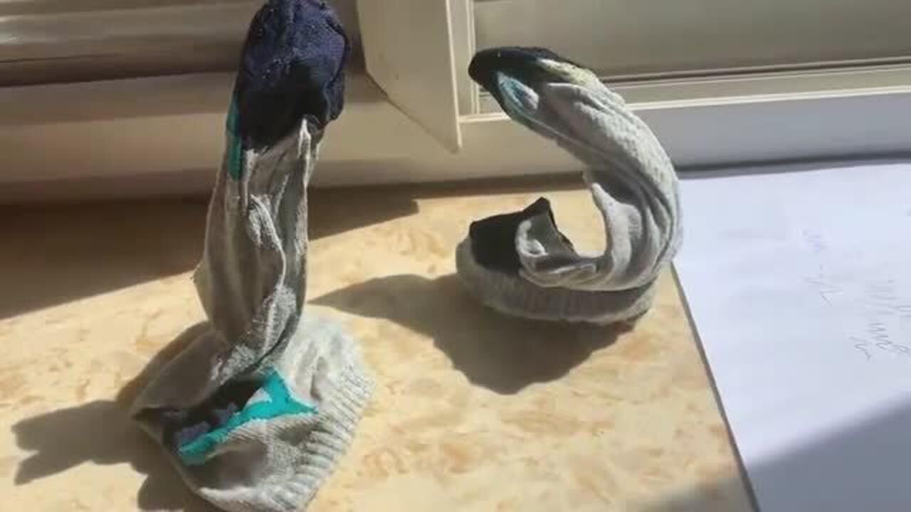 河南洛阳小哥男人的袜子都是那么独特