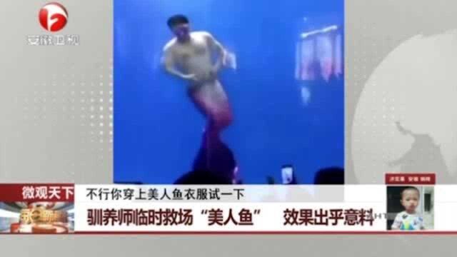 驯养师临时救场“美人鱼” 效果出乎意料