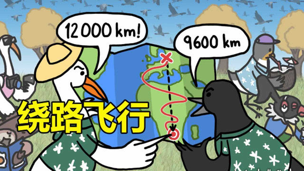 鸟类迁徙为什么不选择直线飞行?