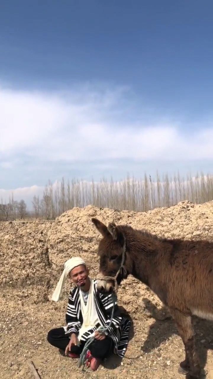 真人版阿凡提了