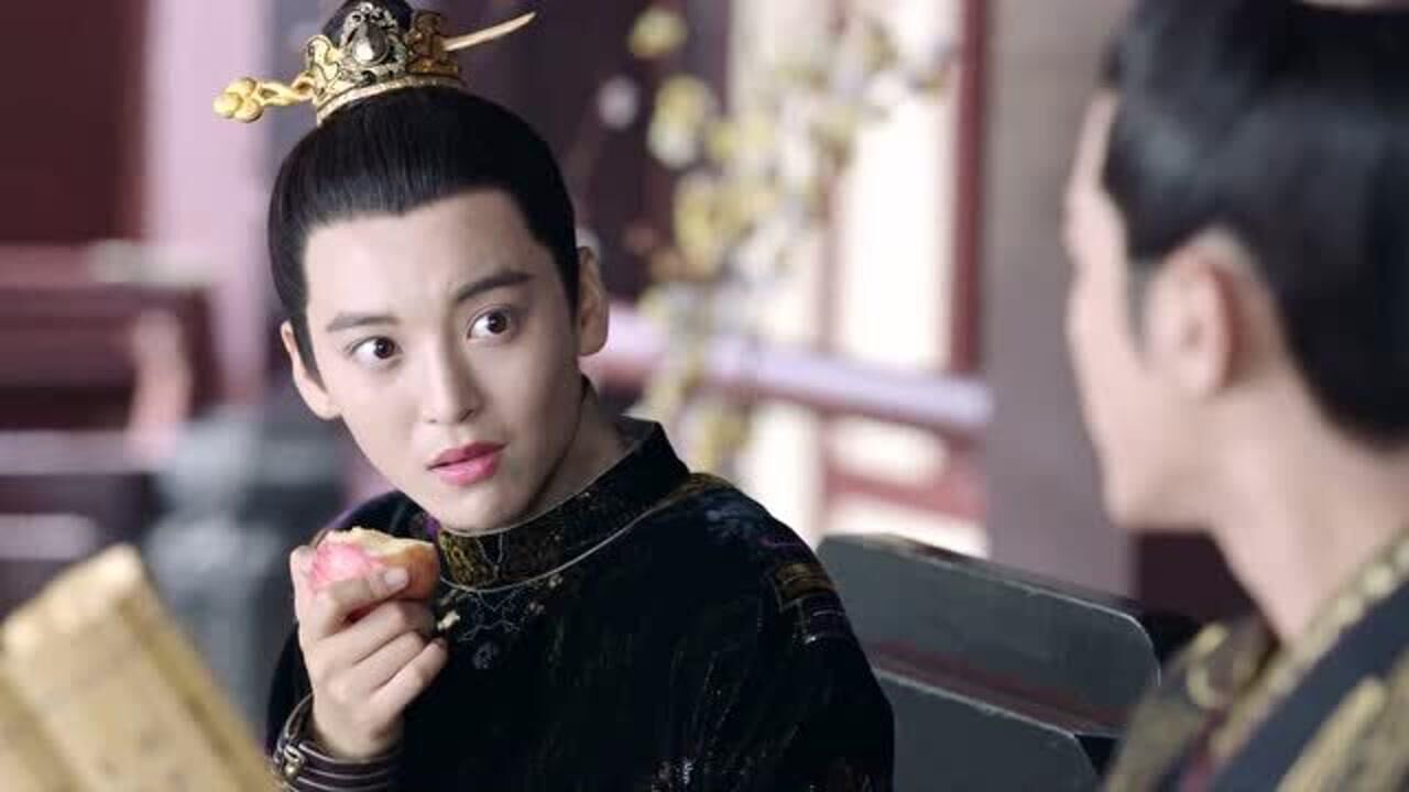 女世子二殿下遇刺伤得不轻皇上派人抓捕五殿下