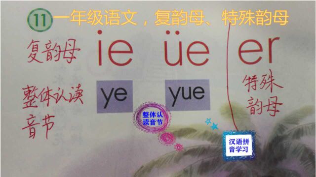 汉语拼音学习,ie 㼥 er,整体认读音节ye yue,音节拼读