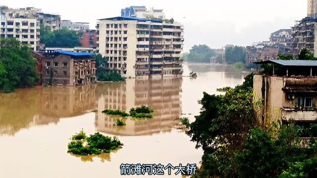 实拍:重庆巴南区鱼洞,洪峰过境,没想到淹成这样