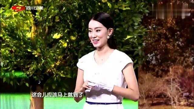 喜剧:我在英国剑桥学的金融法,卜钰:我在东方名剪学的美容美发