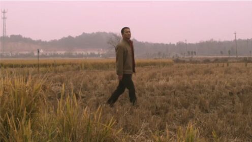 《万年飘香》：三段爱情故事，讲述一个中国贡米产业艰苦创业的动人故事