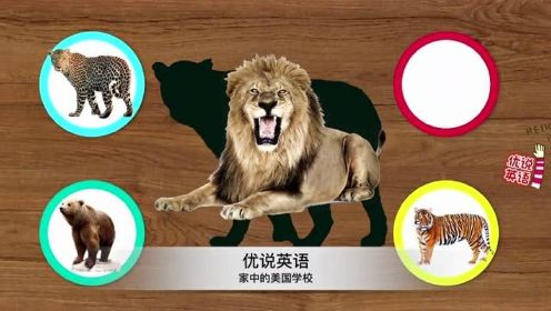 动物世界的剪影拼图，认识老虎、狮子、豹子和熊