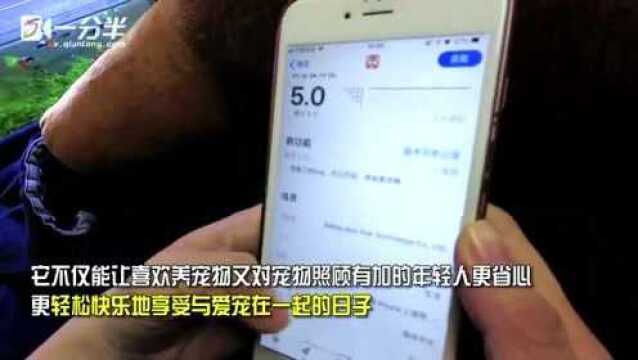 宠物界APP可爱亮相,“轻松宠”成为可能