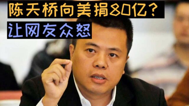 陈天桥向美捐80亿,让网友众怒,他还说:中国缺钱是我的错吗?