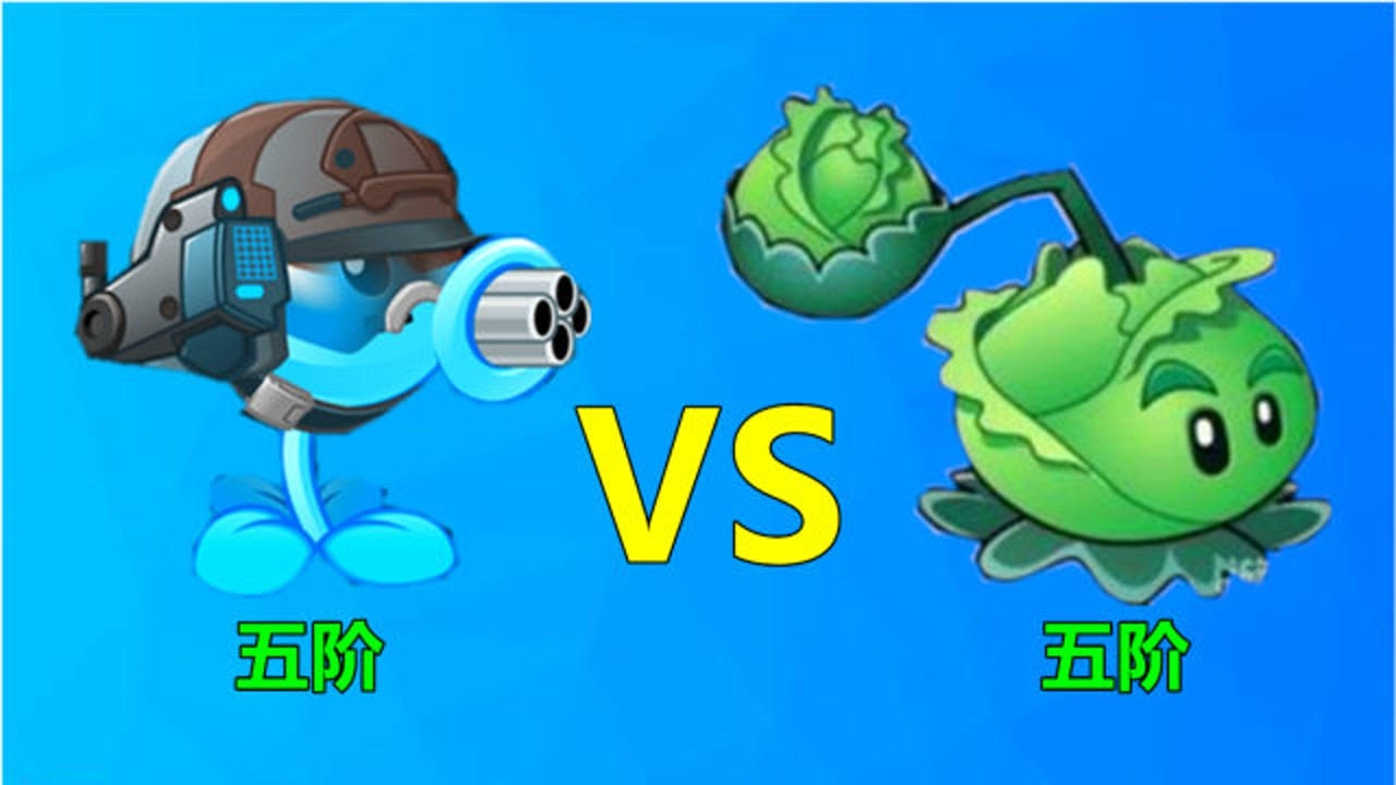 pvz2:测试五阶机枪射手和卷心菜投手,谁的伤害更强大?