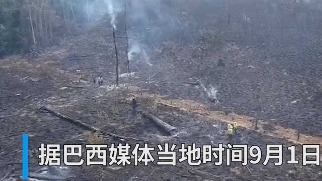 巴西潘塔纳尔湿地8月起火点数量 为有记录以来第二高