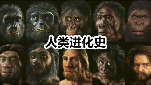 从非洲古猿到现代智人，带你看懂人类进化史，未来又会如何进化？