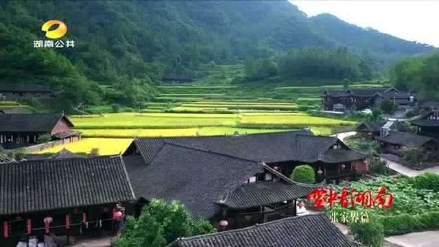 旅游强市张家界:做大景区,做优特色,作响品牌!