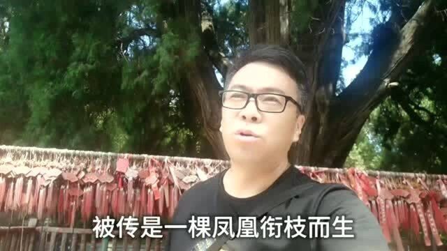 中国第一石塔,为何被日本人称之无与伦比?隋文帝为何封它为神树