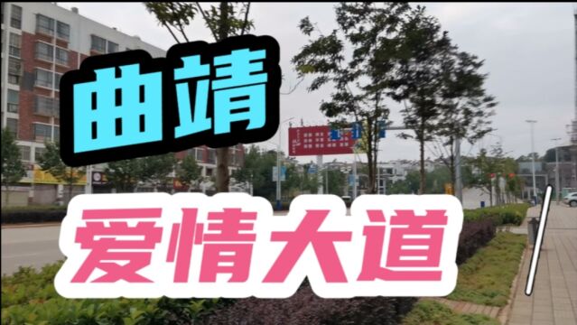 曲靖全国宜居城市之一,有一条浪漫的爱情大道,你们可曾来过?