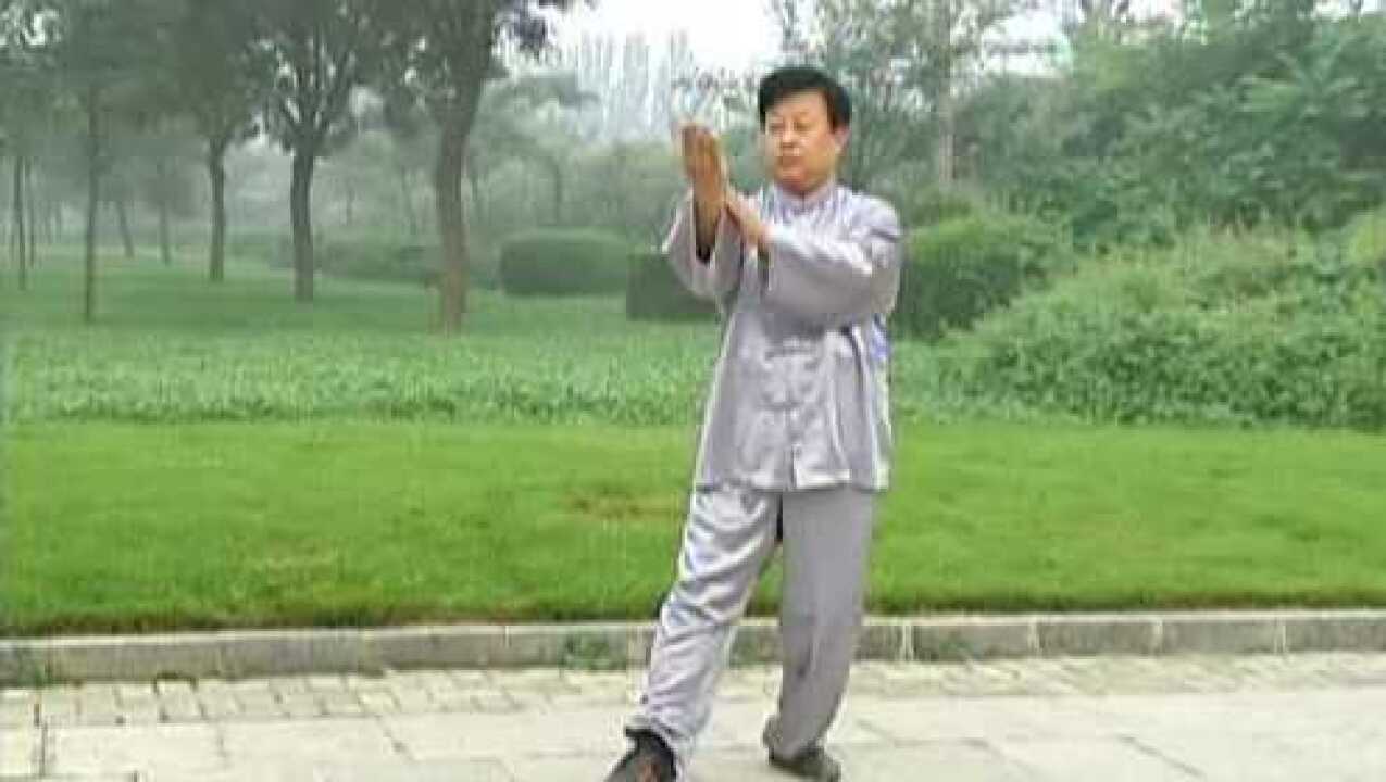 庞大明:杨班侯式太极拳小架_腾讯视频