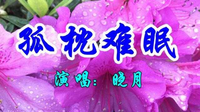 晓月一首经典情歌《孤枕难眠》好听极了