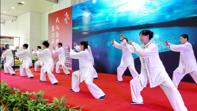 完整版 陈家沟陈式太极拳精选动作表演