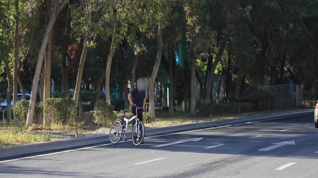 文明的城市需要文明的交通