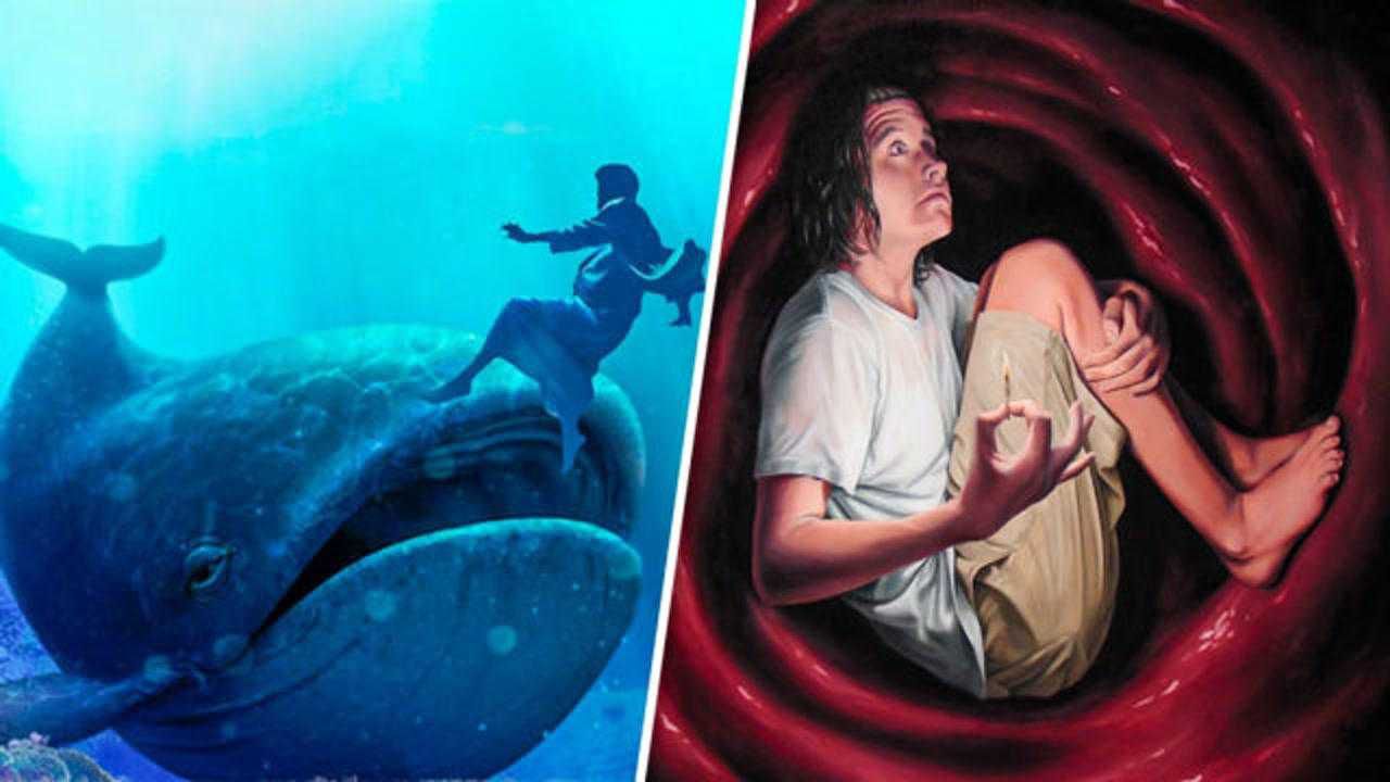 4个最奇怪的问题,人真能被鲸鱼吞掉吗,活下来的可能性有多大?