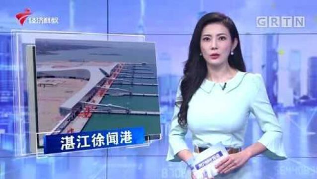 湛江徐闻港开港 琼州海峡过海时间缩短一小时