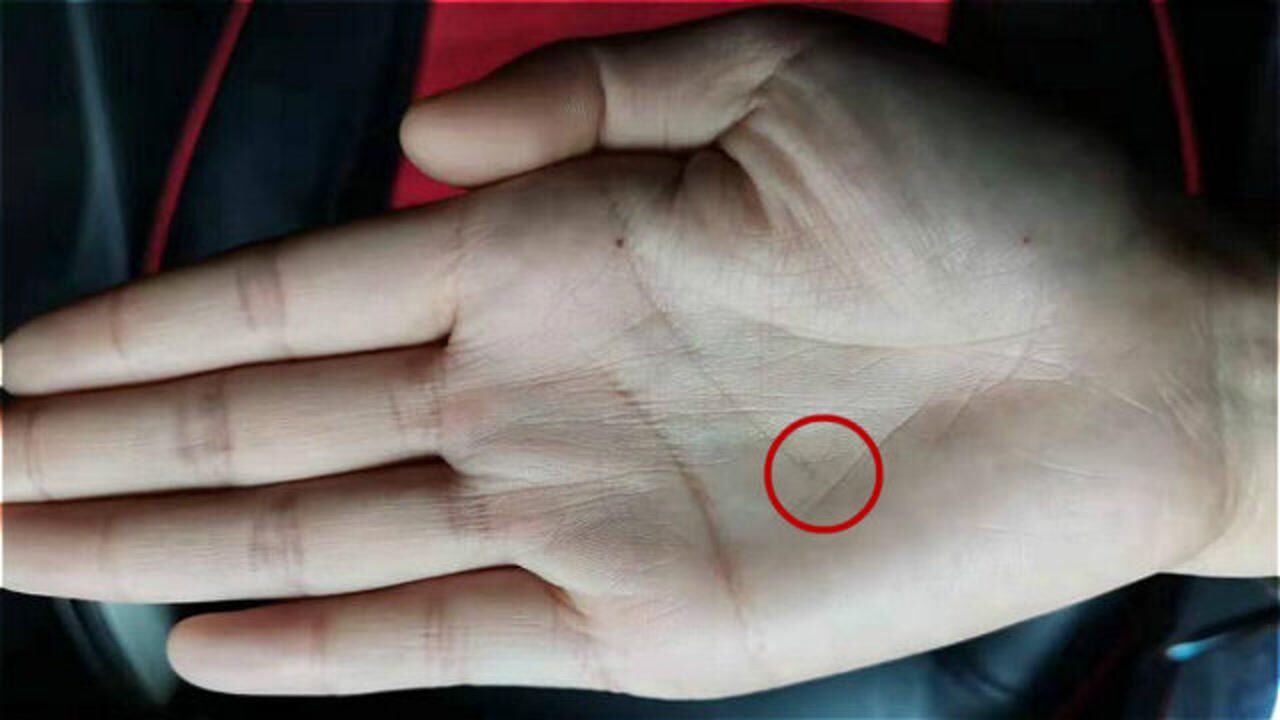 女人手掌上的贵人纹贵人纹是哪一条可一生平顺一生福禄有佳