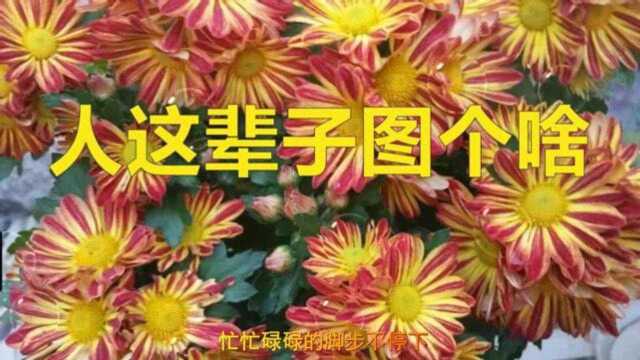 劝世歌!一首《人这辈子图个啥》句句大实话,值得分享!