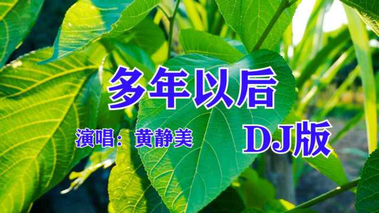 黄静美多年以后dj版动感节奏好听非常