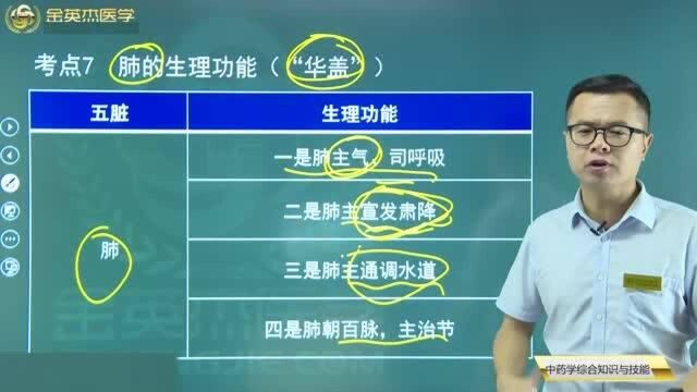 中医基础理论:肺的四大生理功能都在这里了,如何区分心与肺的特征?