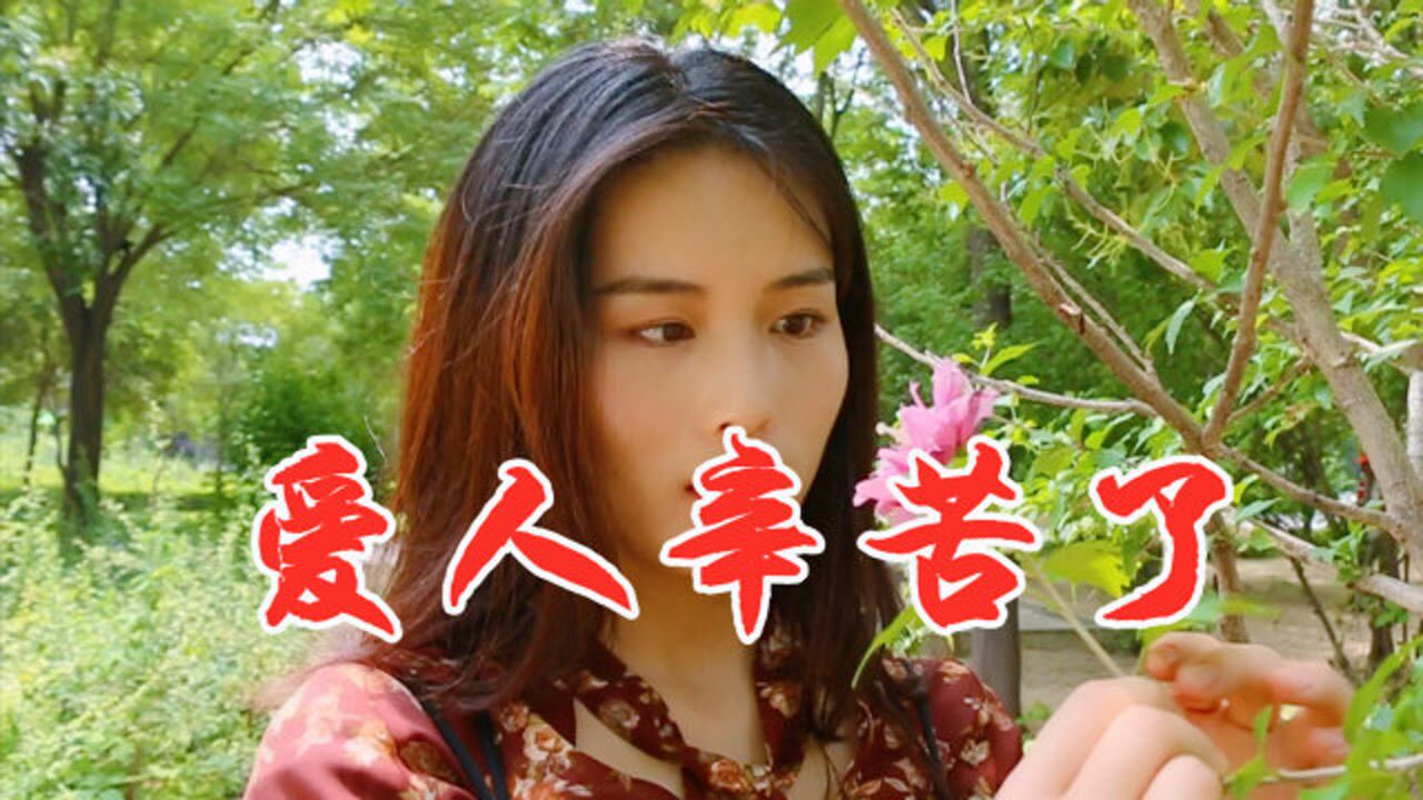 伤感女歌手一首民谣爱人辛苦了唱出了生活现实句句无奈