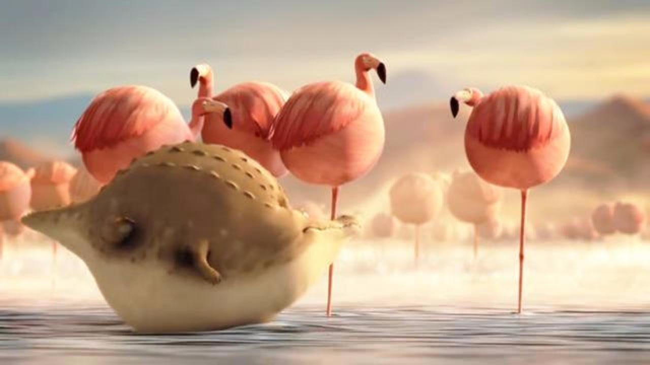 如果动物界都是圆滚滚的胖子会怎样这不是我认识的动物世界