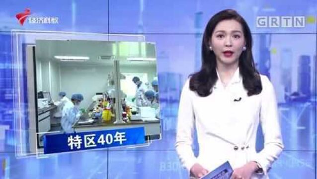 特区40年 潮起南海再扬帆 深圳:构建与国际接轨的人才...