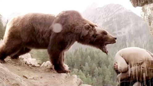 熊的故事：小熊被捕获，大灰熊没有伤害猎人，最后和平分手