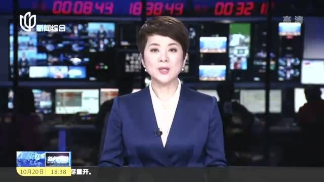 上海市公开第二轮中央生态环境保护督查整改方案