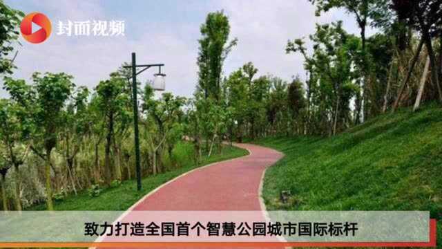 从“智慧绿道”到公园城市建设,成都未来城市新场景这样“玩”