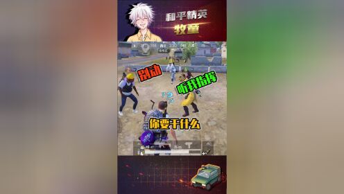 和平精英牧童荷兰猪与鱼废废纷纷整活一不小心驶到了高速上