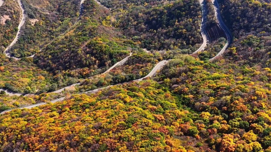 山是什么颜色呢 z317554vxi8_hz.jpg