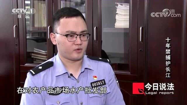 捕鱼团伙被抓,真个销售链条,让人意想不到!