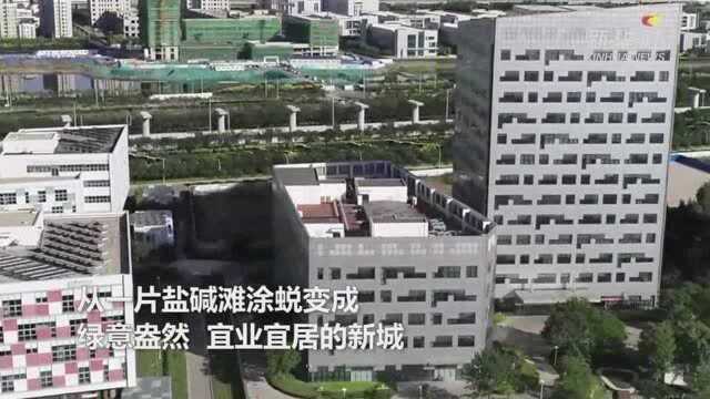 (五中全会精神在基层)中新天津生态城:一座“绿色之城”