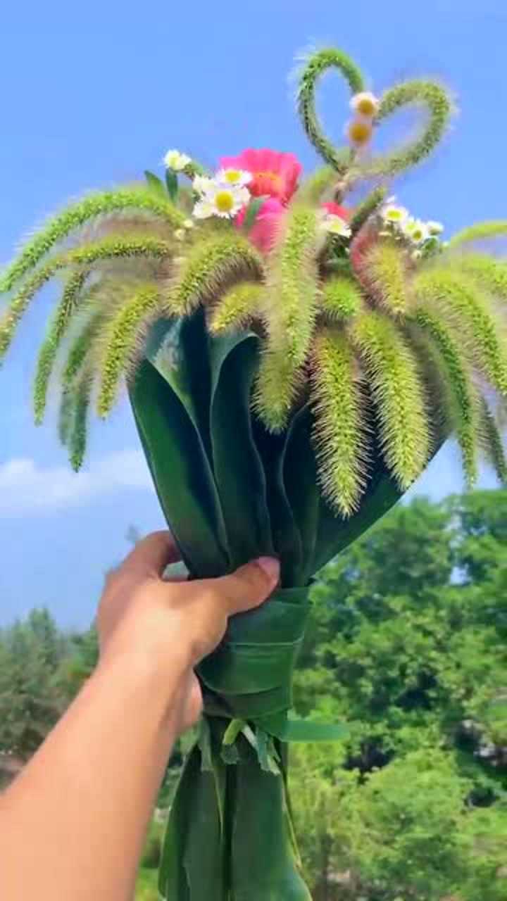 生活需要仪式感礼物不在乎贵贱只要用心一束狗尾巴草也很美