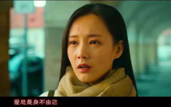 陪你看这个电影的人还在吗