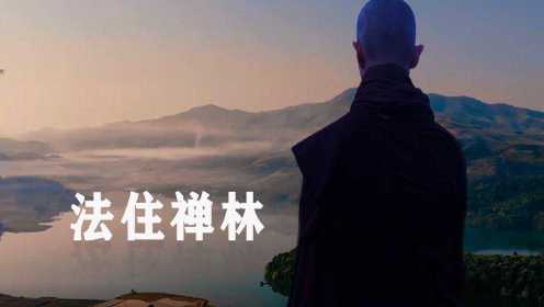#记录美好中国#《法住禅林》纪录片第一章