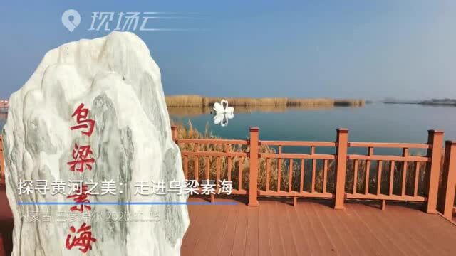 探寻黄河之美:走进乌梁素海