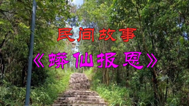 民间故事:《蟒仙报恩》牛通上山砍柴,遇到一条蟒蛇渡劫