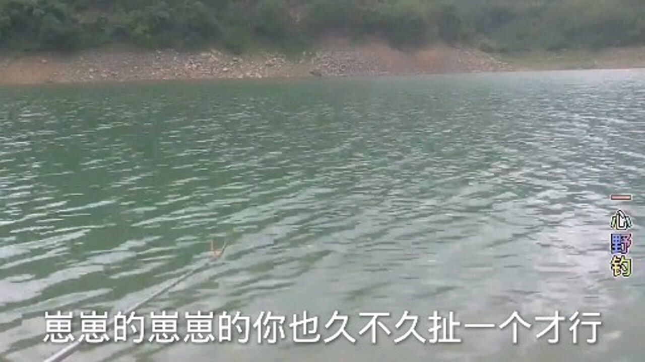 今天去钓鱼看到了一只乌龟,这是预示着要打龟么?还是要发财了_高清1080P在线观看平台_腾讯视频