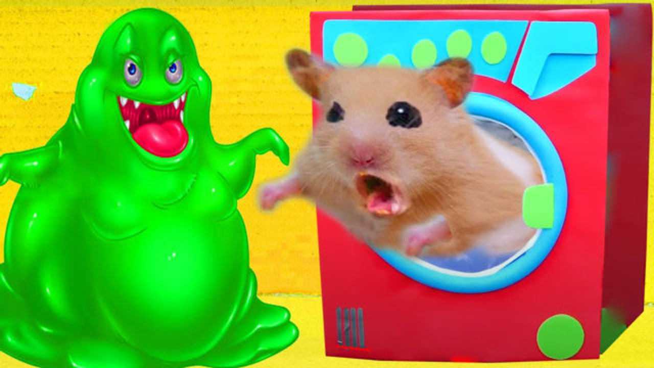 仓鼠勇闯迷宫陷阱全程遭受史莱姆追杀场面惊险又刺激
