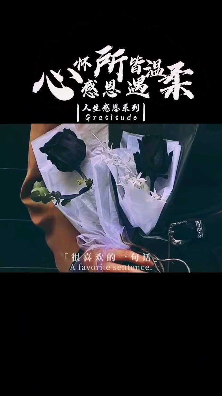 遇见的都是天意拥有的都是幸运不完美又何妨万物皆有裂痕那是光照进来