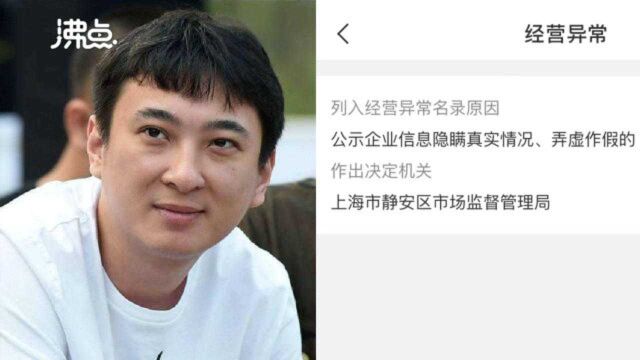 王思聪关联公司因弄虚作假 被列入经营异常名单