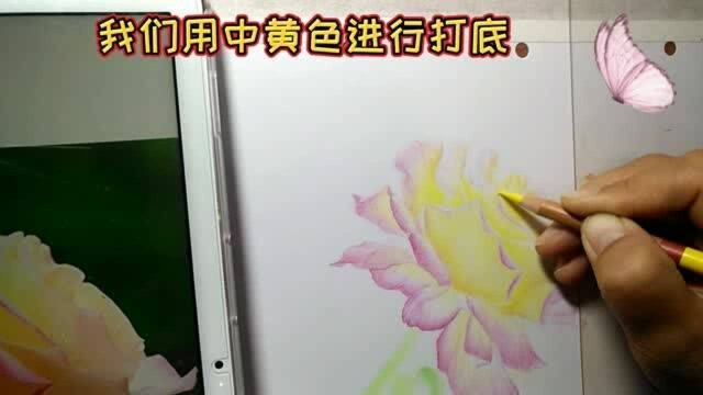 棉签、色粉和橡皮,这样也可以画出逼真的月季花