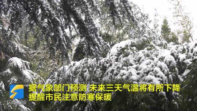 41秒|受高空槽过境影响 临沂沂水迎来入冬初雪